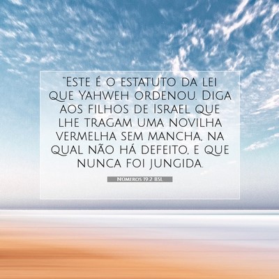 Números 19:2 Versículo Bíblico Explicado