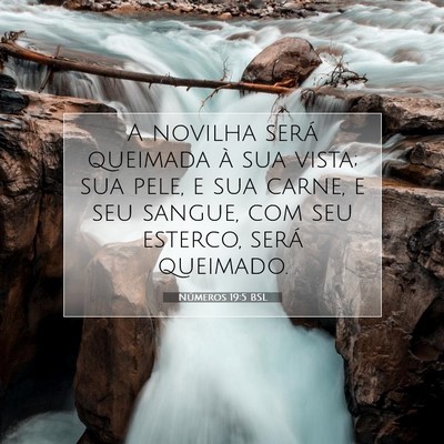 Números 19:5 Versículo Bíblico Explicado