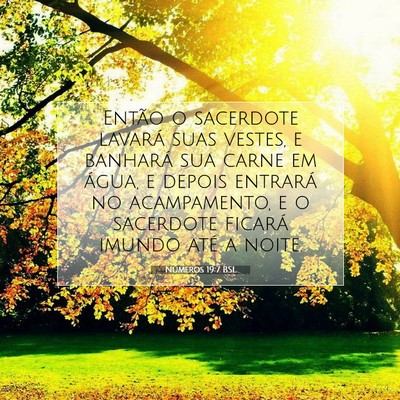 Números 19:7 Versículo Bíblico Explicado