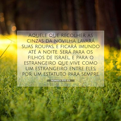 Números 19:10 Versículo Bíblico Explicado