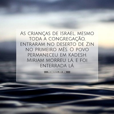 Números 20:1 Versículo Bíblico Explicado