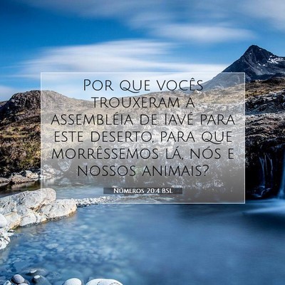 Números 20:4 Versículo Bíblico Explicado