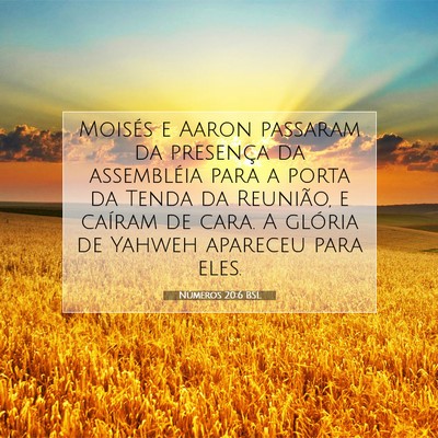 Números 20:6 Versículo Bíblico Explicado