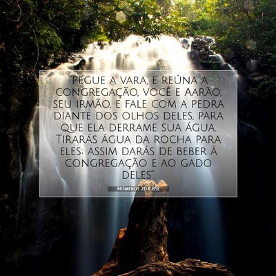 Números 20:8 Versículo Bíblico Explicado