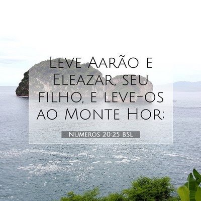 Números 20:25 Versículo Bíblico Explicado