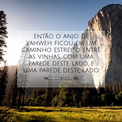 Números 22:24 Versículo Bíblico Explicado