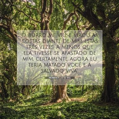 Números 22:33 Versículo Bíblico Explicado