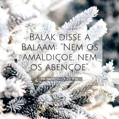Números 23:25 Versículo Bíblico Explicado