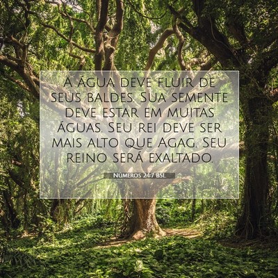 Números 24:7 Versículo Bíblico Explicado