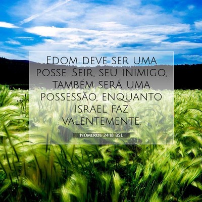Números 24:18 Versículo Bíblico Explicado