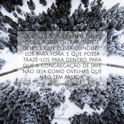Números 27:17 Versículo Bíblico Explicado