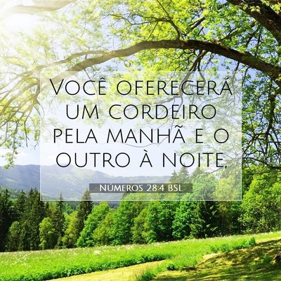 Números 28:4 Versículo Bíblico Explicado