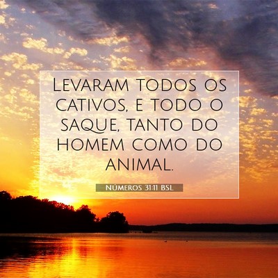 Números 31:11 Versículo Bíblico Explicado