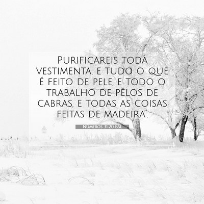 Números 31:20 Versículo Bíblico Explicado