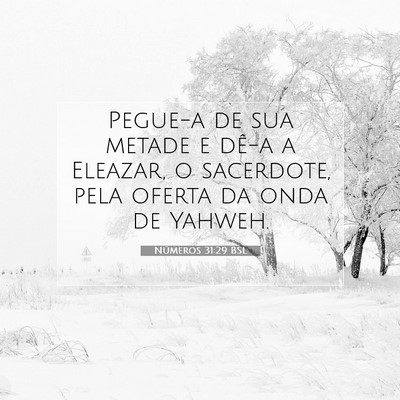 Números 31:29 Versículo Bíblico Explicado