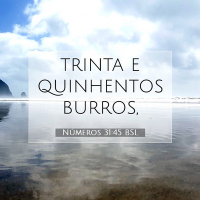 Números 31:45 Versículo Bíblico Explicado