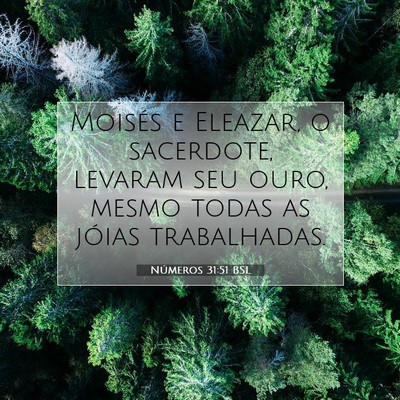Números 31:51 Versículo Bíblico Explicado
