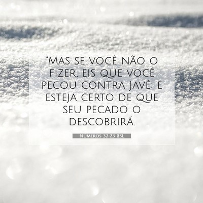 Números 32:23 Versículo Bíblico Explicado