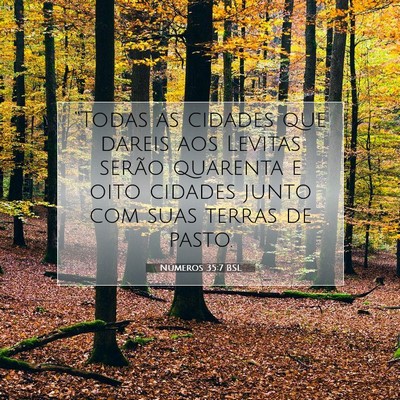 Números 35:7 Versículo Bíblico Explicado