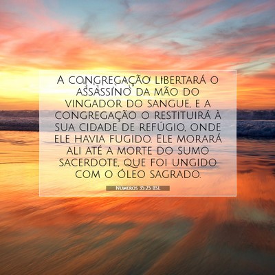 Números 35:25 Versículo Bíblico Explicado