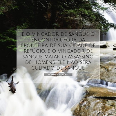 Números 35:27 Versículo Bíblico Explicado