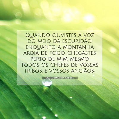 Deuteronômio 5:23 BSL Imagem do Versículo Bíblico