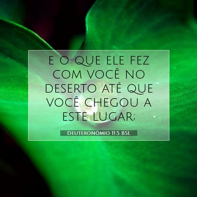 Deuteronômio 11:5 Versículo Bíblico Explicado
