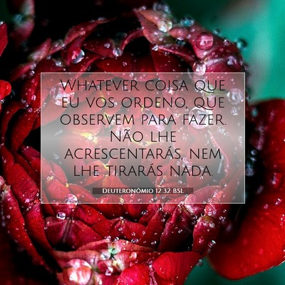 Deuteronômio 12:32 Versículo Bíblico Explicado