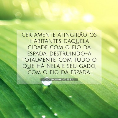 Deuteronômio 13:15 Versículo Bíblico Explicado