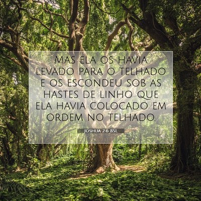 Joshua 2:6 Versículo Bíblico Explicado
