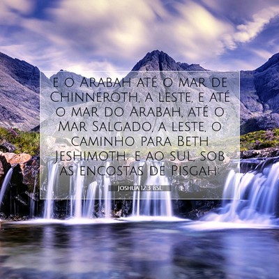 Joshua 12:3 Versículo Bíblico Explicado