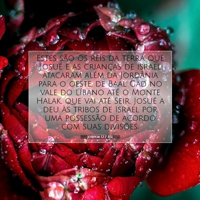 Joshua 12:7 Versículo Bíblico Explicado