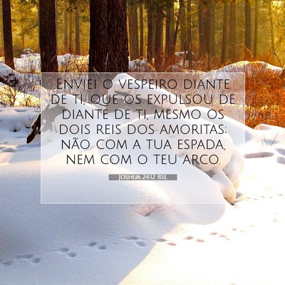 Joshua 24:12 Versículo Bíblico Explicado