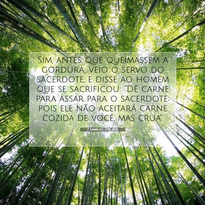 1 Samuel 2:15 BSL Imagem do Versículo Bíblico