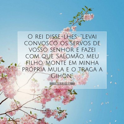 1 Reis 1:33 Versículo Bíblico Explicado