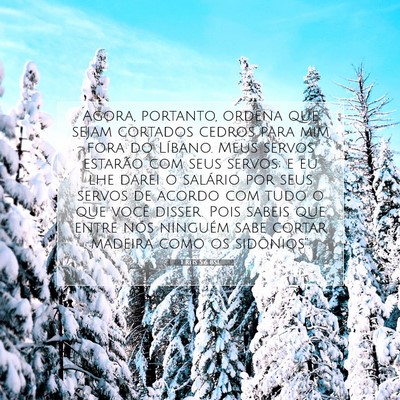 1 Reis 5:6 Versículo Bíblico Explicado