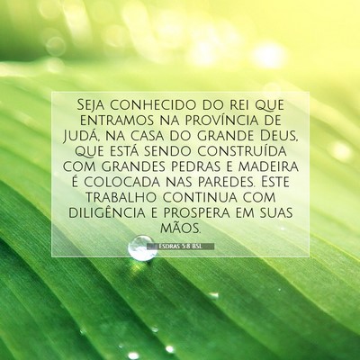 Esdras 5:8 BSL Imagem do Versículo Bíblico