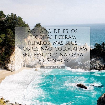 Neemias 3:5 Versículo Bíblico Explicado