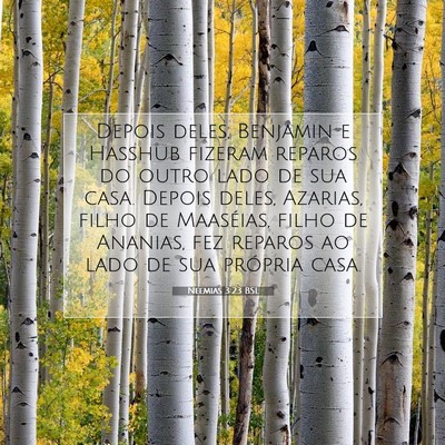 Neemias 3:23 Versículo Bíblico Explicado