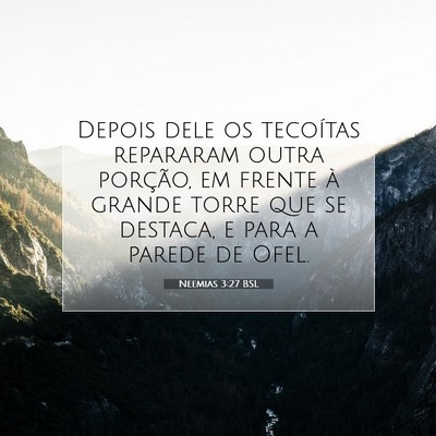 Neemias 3:27 Versículo Bíblico Explicado