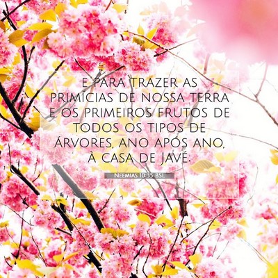 Neemias 10:35 Versículo Bíblico Explicado