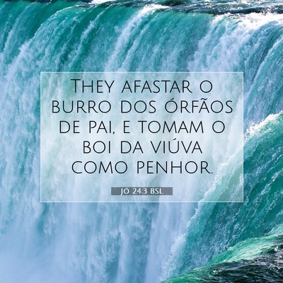 Jó 24:3 Versículo Bíblico Explicado