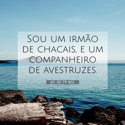 Jó 30:29 BSL Imagem do Versículo Bíblico