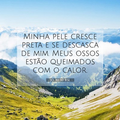 Jó 30:30 BSL Imagem do Versículo Bíblico