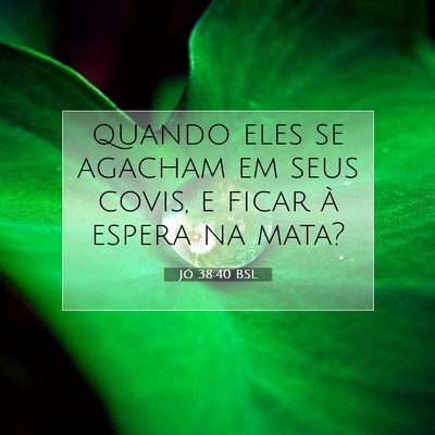Jó 38:40 BSL Imagem do Versículo Bíblico