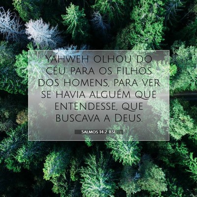 Salmos 14:2 BSL Imagem do Versículo Bíblico