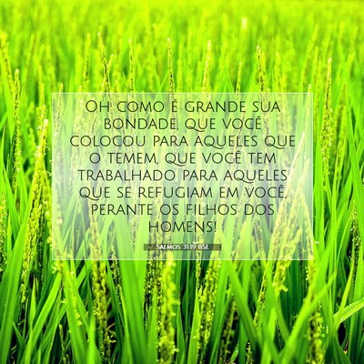 Salmos 31:19 BSL Imagem do Versículo Bíblico