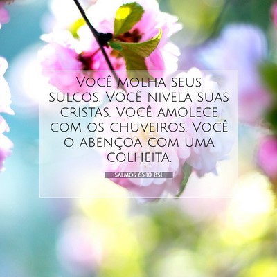 Salmos 65:10 Versículo Bíblico Explicado