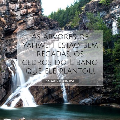 Salmos 104:16 Versículo Bíblico Explicado