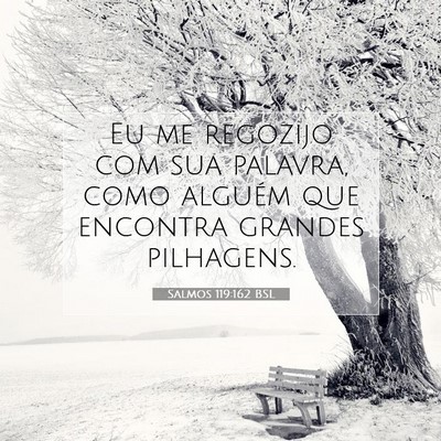 Salmos 119:162 Versículo Bíblico Explicado